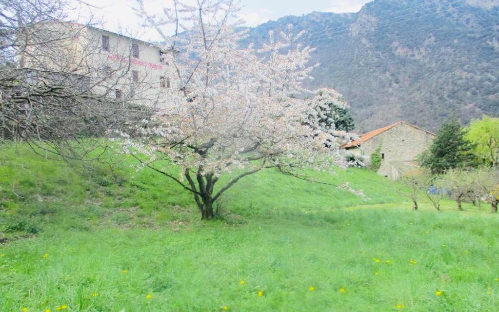 La Pommeraie Casteil Dış mekan fotoğraf